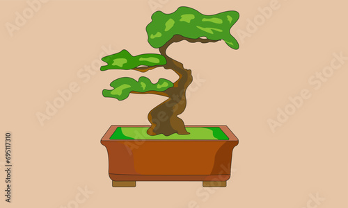 bonsai tree