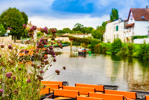 Flowers by riverbank, Coulon in France photo