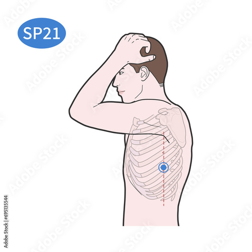 SP21 Acupoint illustration