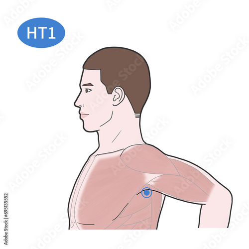 HT1 Acupoint illustration