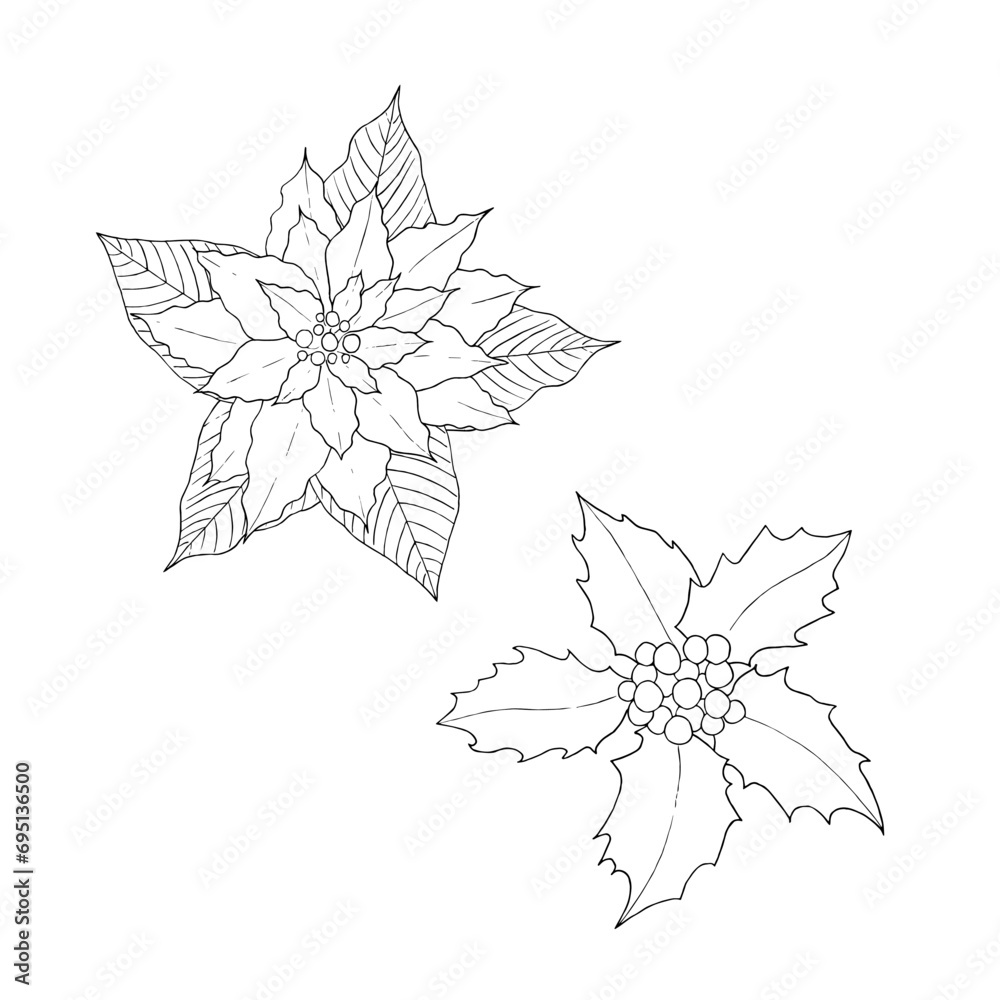 Hand drawn holly branch with berries and poinsettia. Christmas and New Year decoration. Outline drawing. Vector illustration. For coloring book, cards, printing, packaging, invitations, business cards