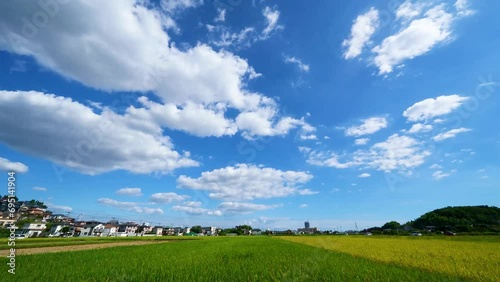 タイムラプス_田んぼと空_神奈川県厚木市・2022.9.16