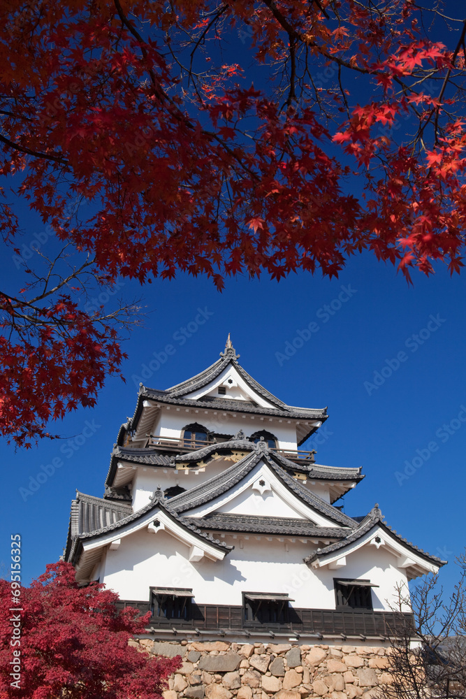 紅葉と長浜城 紅葉と長浜城