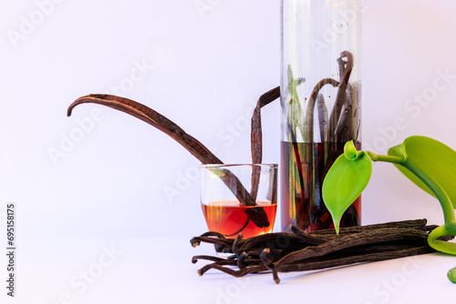 vanilla pods and processing in to water in wine bottls, wine glasses with green vanilla leaves on white bacground isoleted, photo