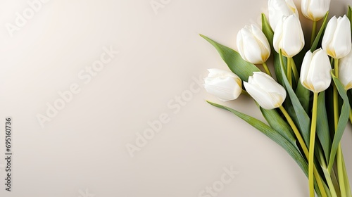 Delicate white tulips on a light background.