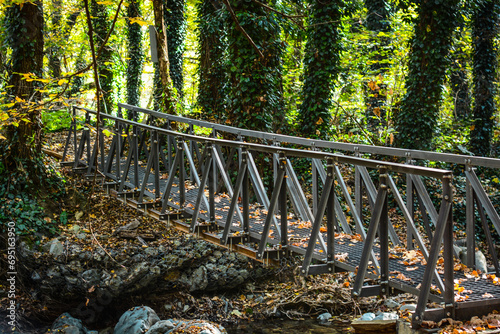 Lagodekhi, Machi fortress. green forest in kakheti Georgia photo