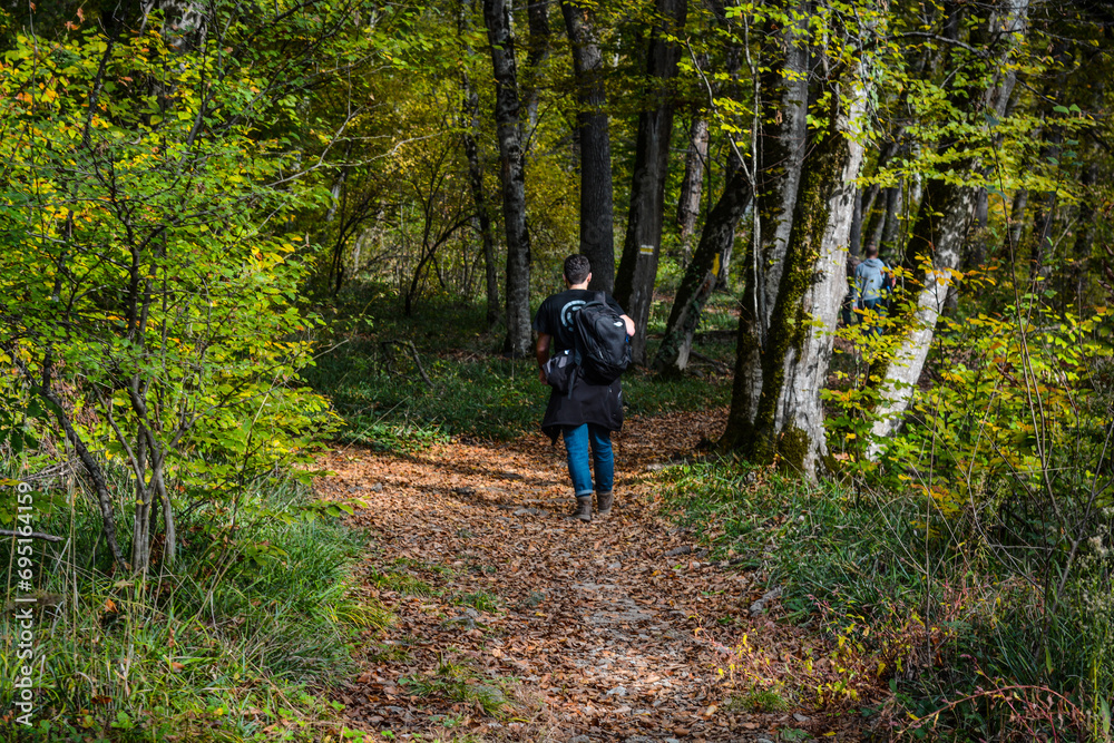 Lagodekhi, Machi fortress. green forest in kakheti Georgia