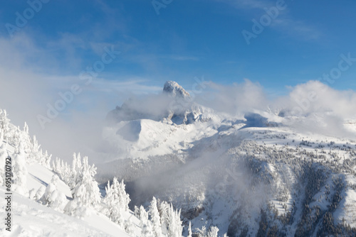 Frozen trees at the top of a mountain top, in the Rocky Mountains.