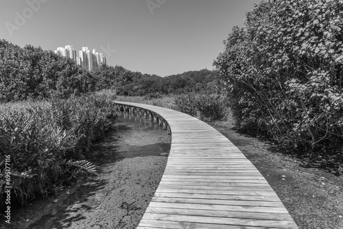 Wooden trail in Hong Kong wetland park photo