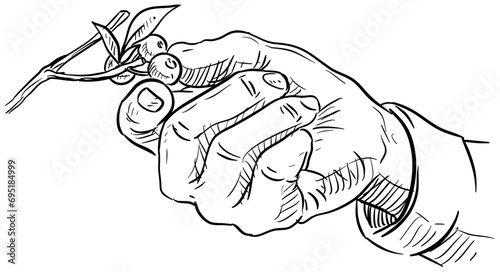 cranberry handdrawn illustration