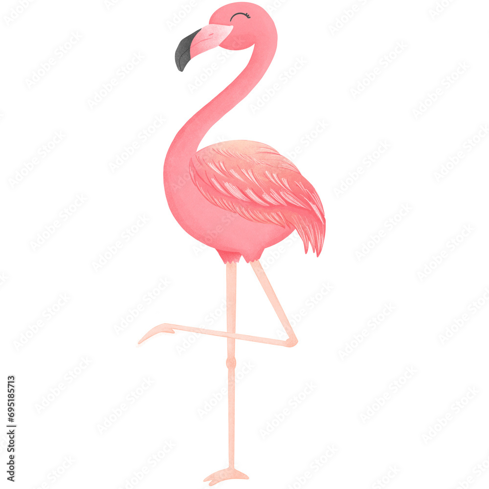 Obraz premium Flamingos