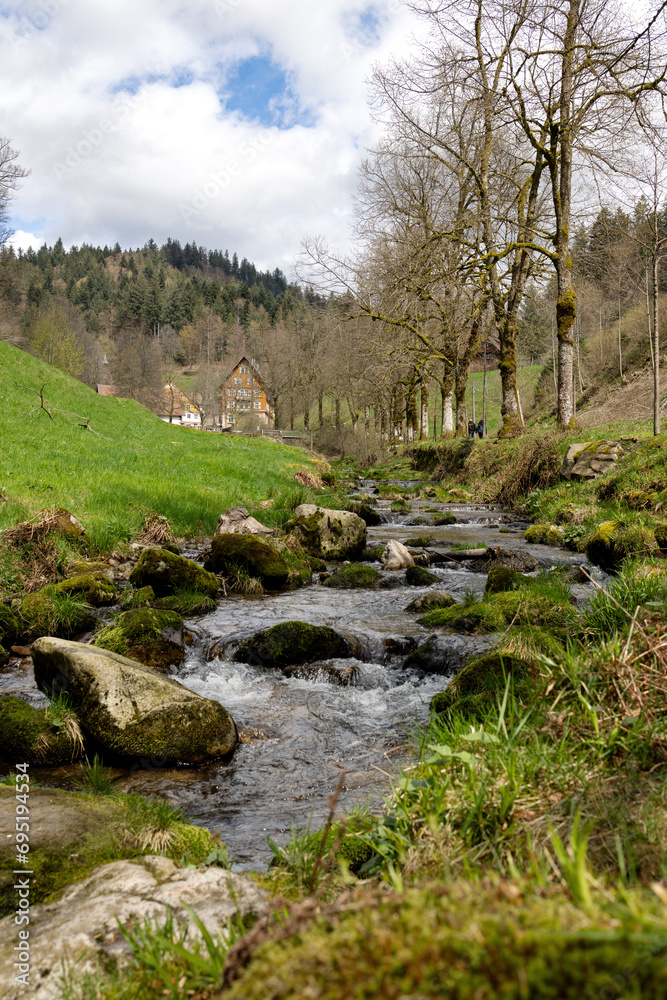 A mountain stream with boulders on its banks. The Black Forest in Germany