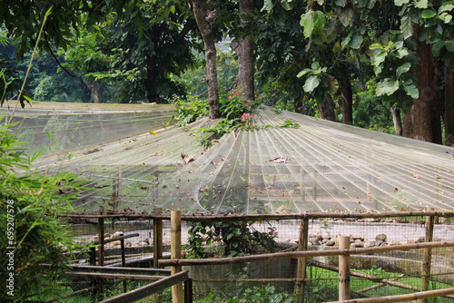 Eco-Friendly Landscape with Natural Forest and Green Foliage