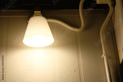 lamp
