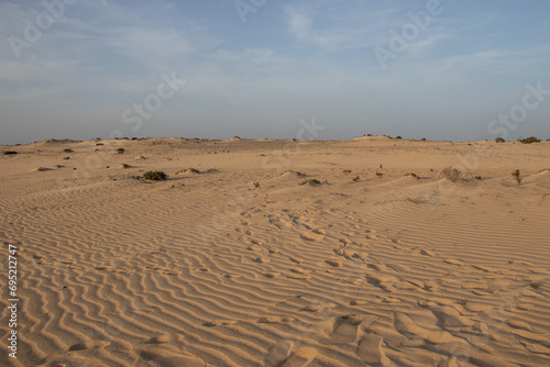 Spuren im Sand im Dünenfeld von Corralejo, Fuerteventura
