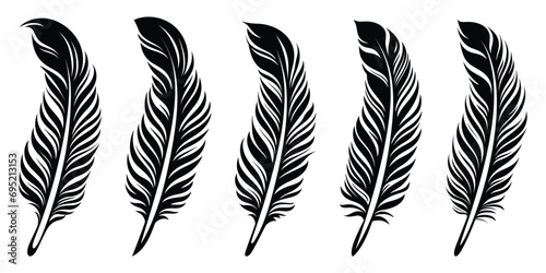 Set of detailed majestic feather collection. Bird Feather black silhouettes. Plumelet collection. Vector isolated on white