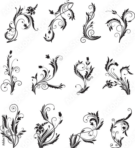 set of floral elements vector