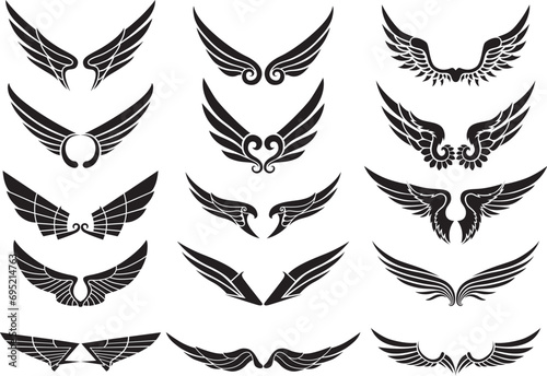 set of straight beautiful wings