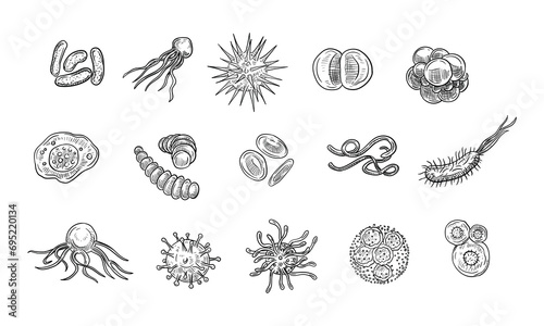 viruses handdrawn collection