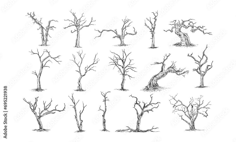 Fototapeta premium dead tree handdrawn collection