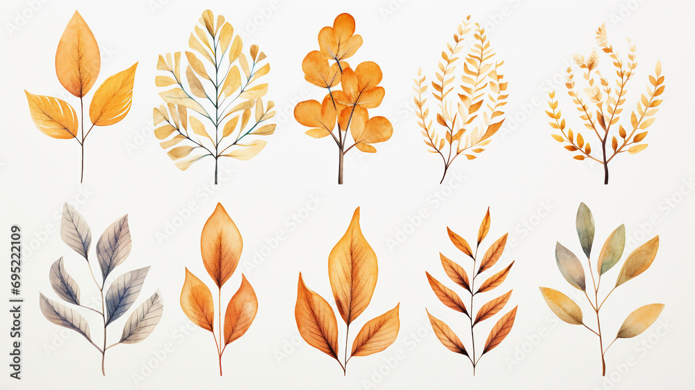 set of watercolor autumn leaves isolated on white background