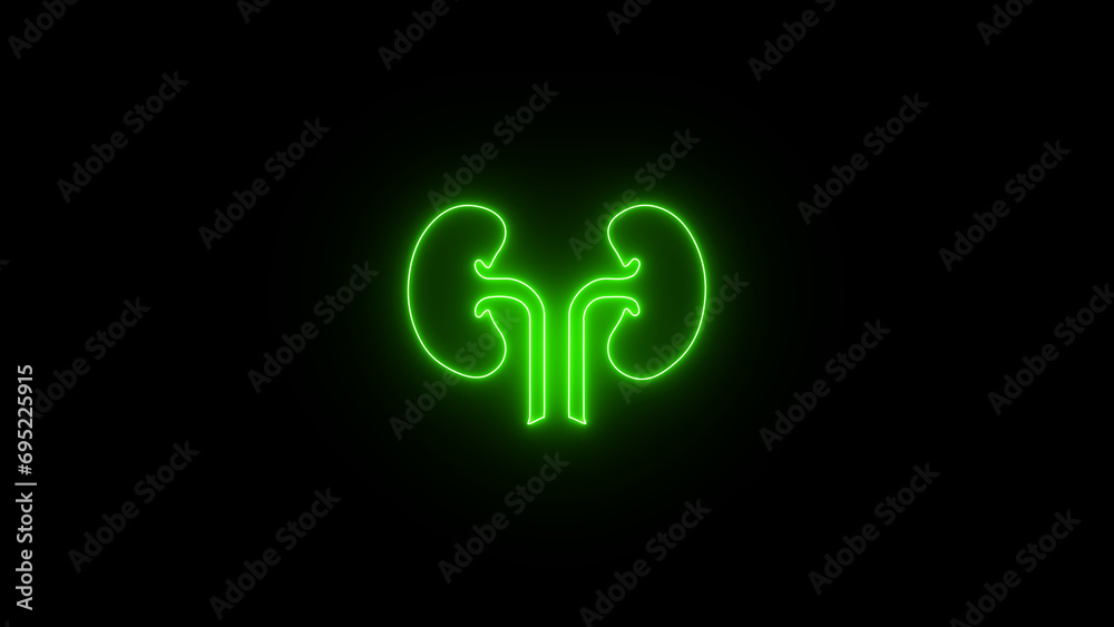 Neon glowing kidney sign. Neon human kidney icon in line style. Urinary system part symbol. kidney line icon. Elements of Medicine in neon icons. Simple icon for websites, web design, mobile app Neon glowing kidney sign. Neon human kidney icon in line style. Urinary system part symbol. kidney line icon. Elements of Medicine in neon icons. Simple icon for websites, web design, mobile app