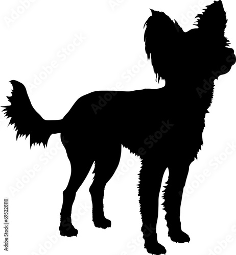 Russian Toy Terrier High quality Dog silhouette Breeds Bundle Dogs on the move. Dogs in different poses.
The dog jumps, the dog runs. The dog is sitting. The dog is lying down. The dog is playing