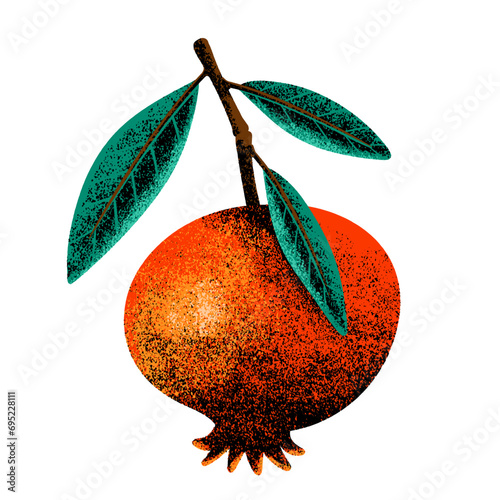 Fruits Pomegranate Illustrations With Texture