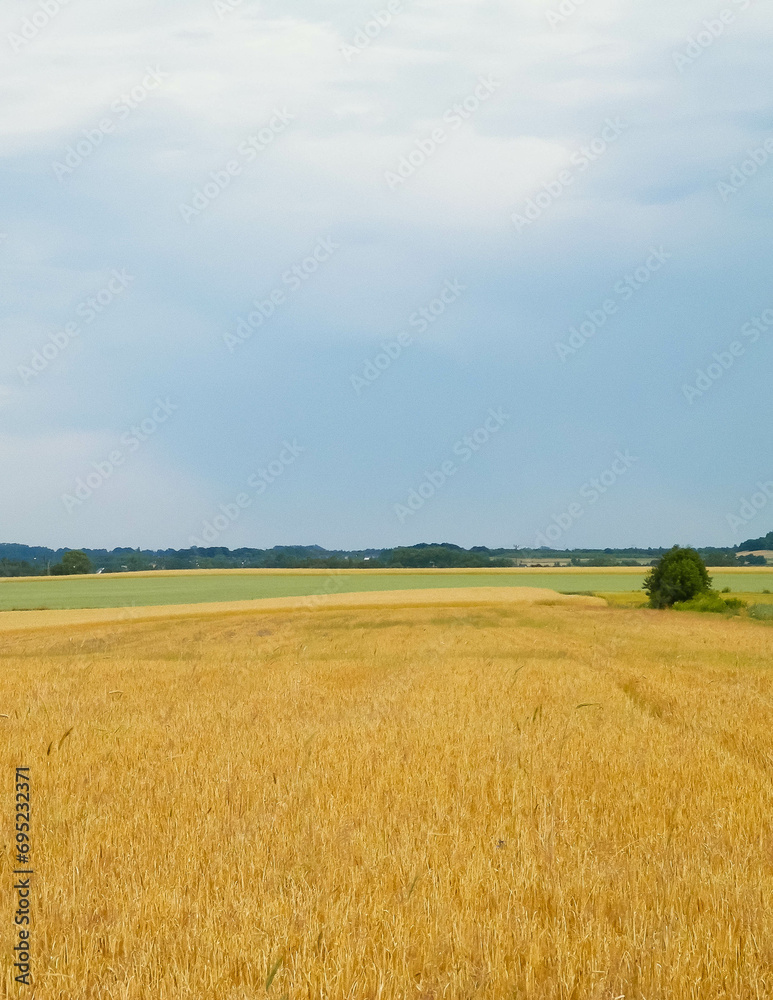 Countryside in northern Poland Kashubia.