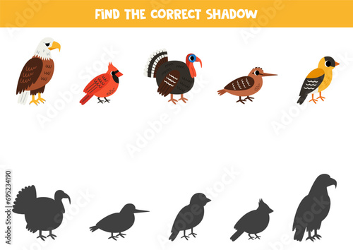 Find shadows of cute North American birds. Educational logical game for kids.