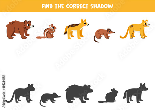 Find shadows of cute North American animals. Educational logical game for kids.
