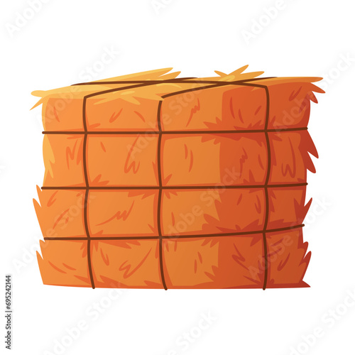 Hay Bale Tied with Rope as Dried Grass for Fodder Vector Illustration