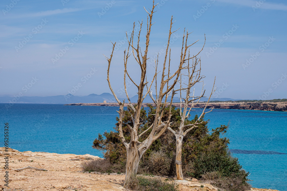 Cala Saona, Formentera, Pitiusas Islands, Balearic Community, Spain