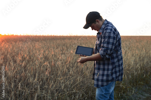 In the field, a farmer examines a spike of wheat with a clipboard in his hand. The agronomist examines the wheat, assessing the condition of the grains in the spikelets and makes notes in the tablet.