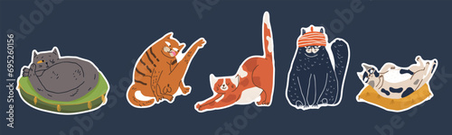 Stickers for International Cat Day on August 8th. Funny cheerful cartoon fat cat. Happy Pets Print greeting cards, posters, flyers.