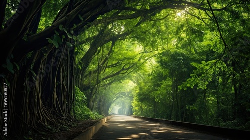 Deep tropical jungles of Southeast Asia green trees