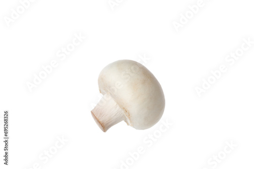 PNG, Whole fresh champignon, isolated on white background