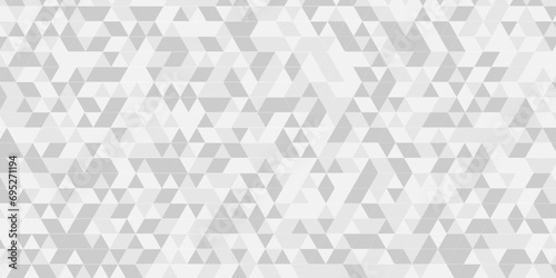 Abstract gray and white chain rough triangular low polygon backdrop background. Abstract geometric pattern gray and white Polygon Mosaic triangle Background, business and corporate background. photo