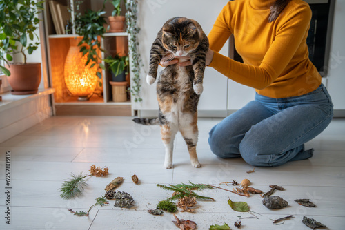 Tender caring pet lover showing to lazy uninterested cat natural objects, twigs brought from park, encouraging energy, interest, activity. Idle cat dreaming of lying, sleeping, resting, doing nothing photo