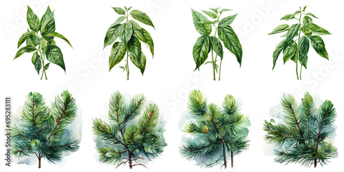 pepper and pine leaves Artificial Intelligence Generative