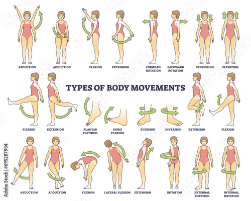 Body movement types with medical physical motion explanation outline diagram, transparent background. Labeled educational anatomy scheme with healthy leg, arm or shoulders rotation, extension. photo
