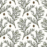 Vector seamless pattern with hand drawn cypress branches and cones. Beautiful design elements, ink drawing. Perfect for prints and patterns for Christmas or New Year holidays season.