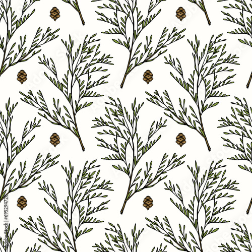 Vector seamless pattern with hand drawn cypress branches and cones. Beautiful design elements, ink drawing. Perfect for prints and patterns for Christmas or New Year holidays season. photo