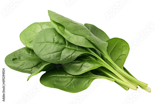 Bundle of fresh spinach photo