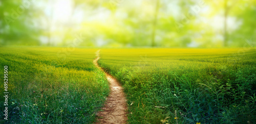 Scenic winding path through a field of green grass in the morning. Beautiful natural image. photo