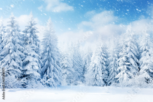 Winter background of snow and frost with landscape of forest. 