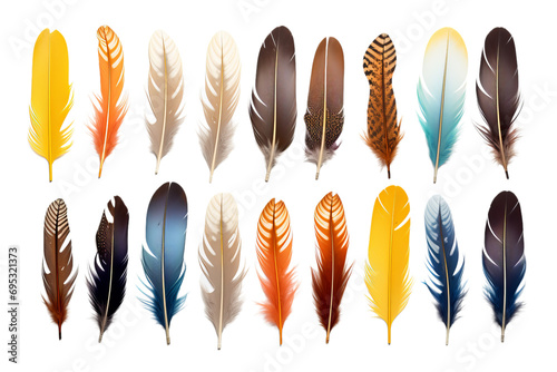 Collection of colorful feathers on isolated on white background