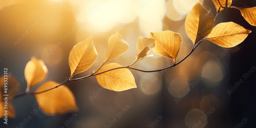 Beautifully blurred autumn background Beautifully blurred autumn background
