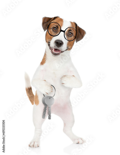 Smart Jack russell terrier puppy wearing eyeglasses holds in his paw keys to a new apartment. Isolated on white background © Ermolaev Alexandr