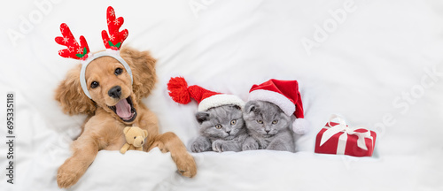 Happy English Cocker spaniel puppy dressed like santa claus reindeer Rudolf hugging toy bear and lying with cozy kittens and gift box under white blanket at home. Top down view photo